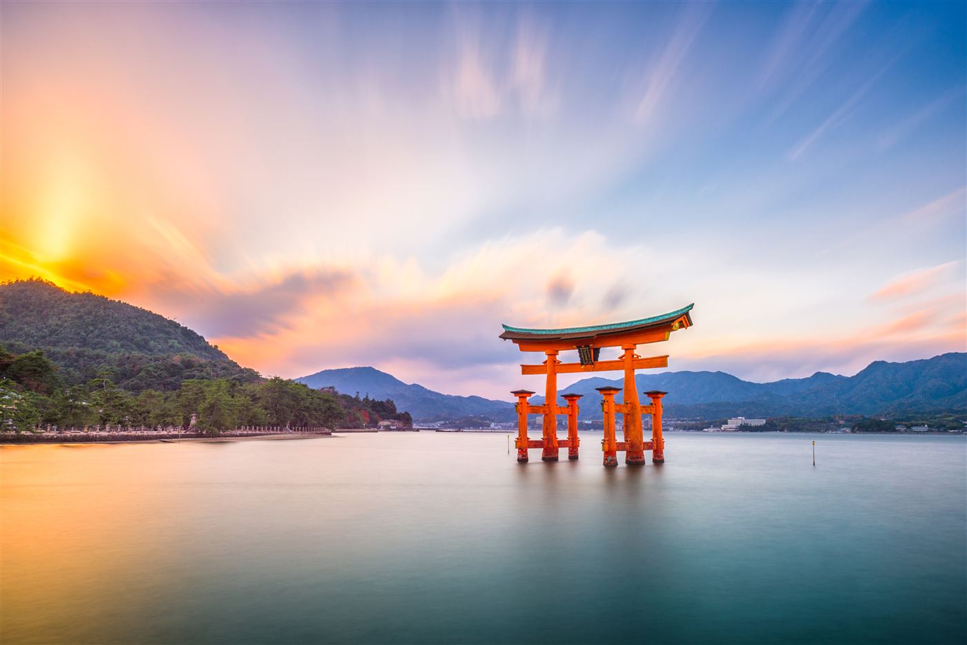 広島地区の活動